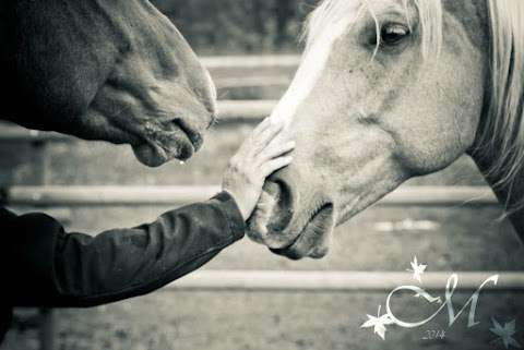 Lucky Break Ranch and Tack